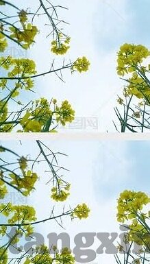 91麻豆剧果冻传媒-娱乐变体与界限——91麻豆剧果冻传媒的多元化视角剖析