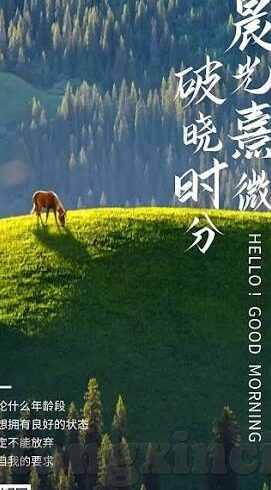 成成人三级视频免费-成人三级视频免费，网络伦理与个人安全的警钟
