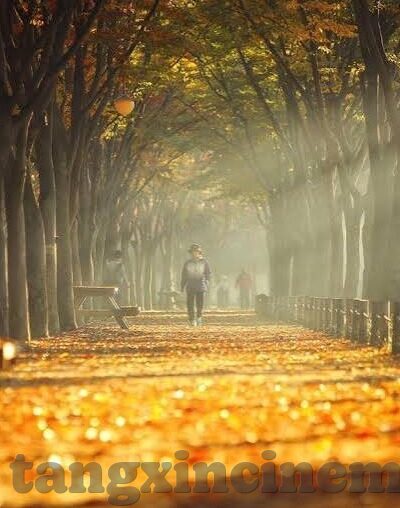 日韩av无码麻豆-娱乐文化的新视角，日韩AV无码麻豆的背后
